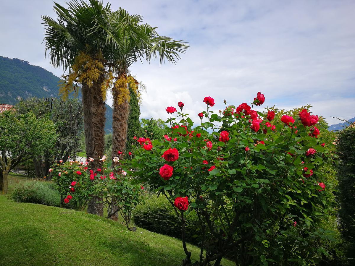 Bellagio Lake View Villa Oliveto Lario Dış mekan fotoğraf