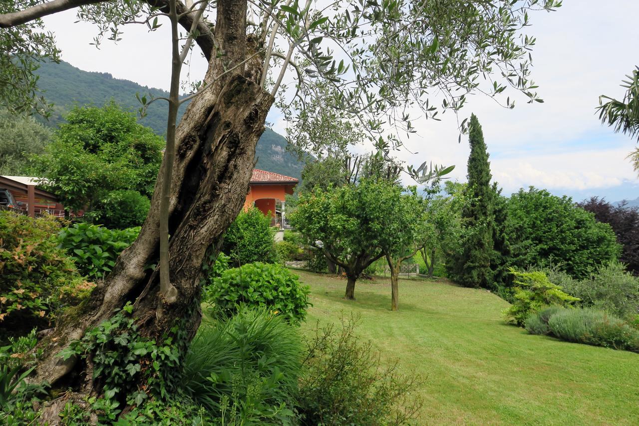 Bellagio Lake View Villa Oliveto Lario Dış mekan fotoğraf